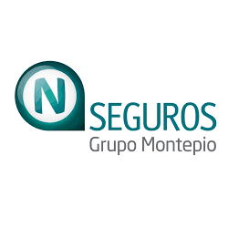 N Seguros