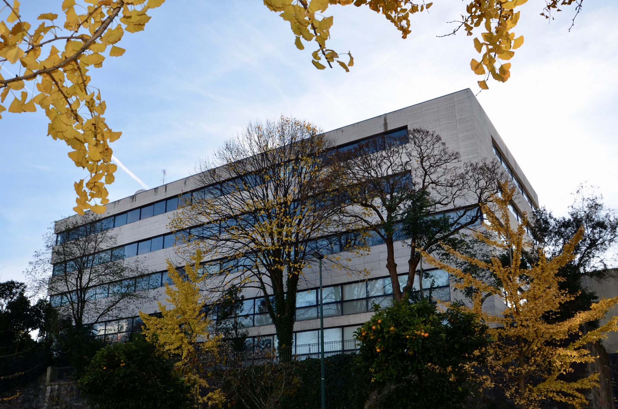 Oporto Medical Center