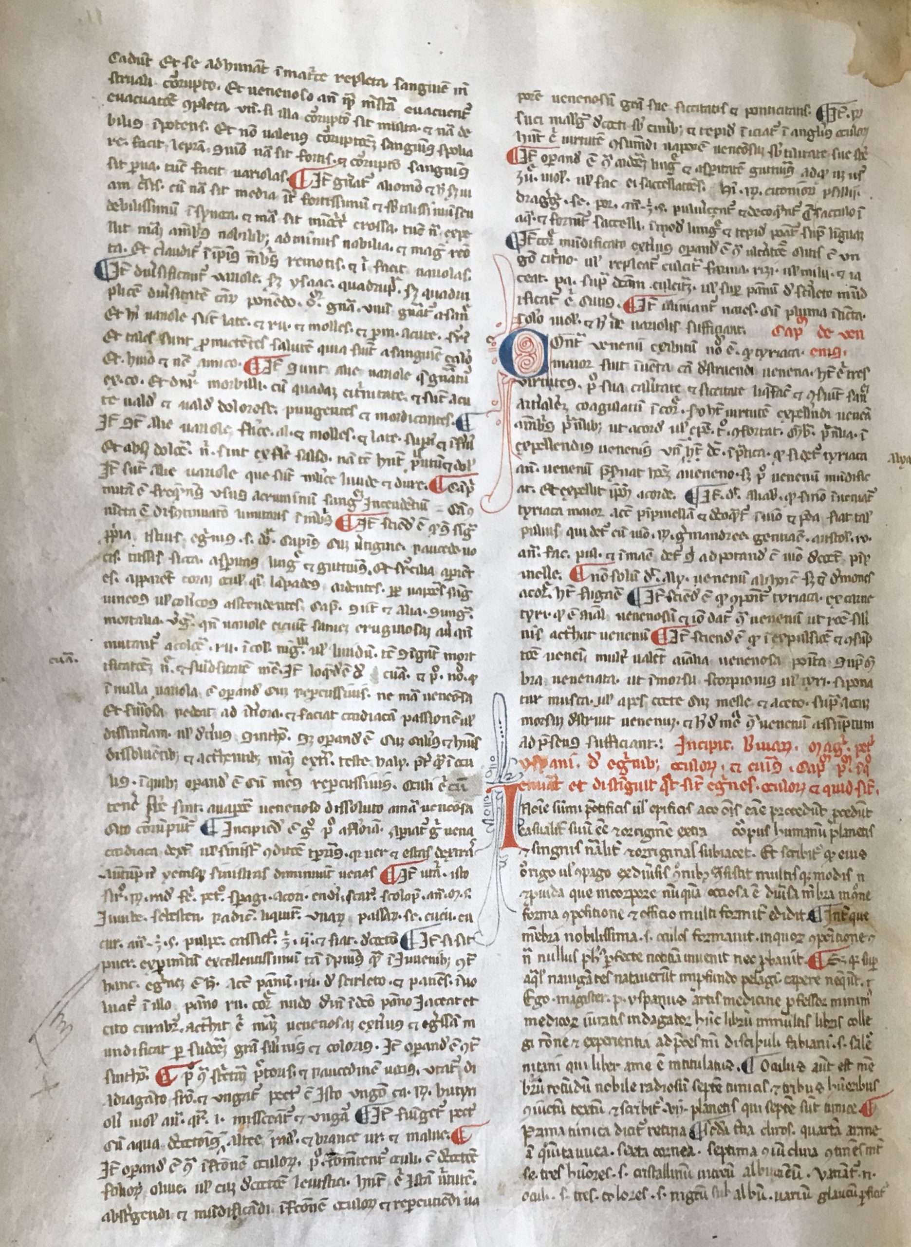 O Tratado dos Olhos do Papa Português