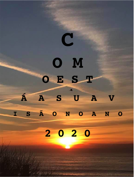 Consulta Carta Condução