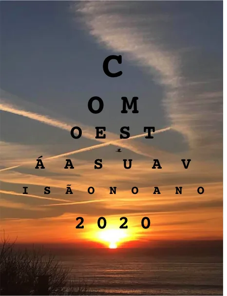Consulta Carta Condução