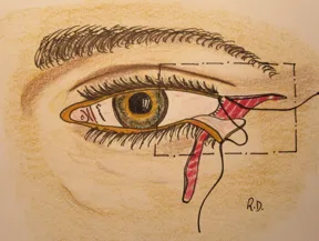 Fig4
