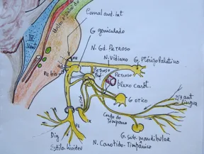 Paralisia Facial
