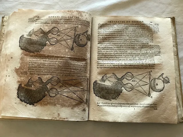 Descartes — Teleconsulta