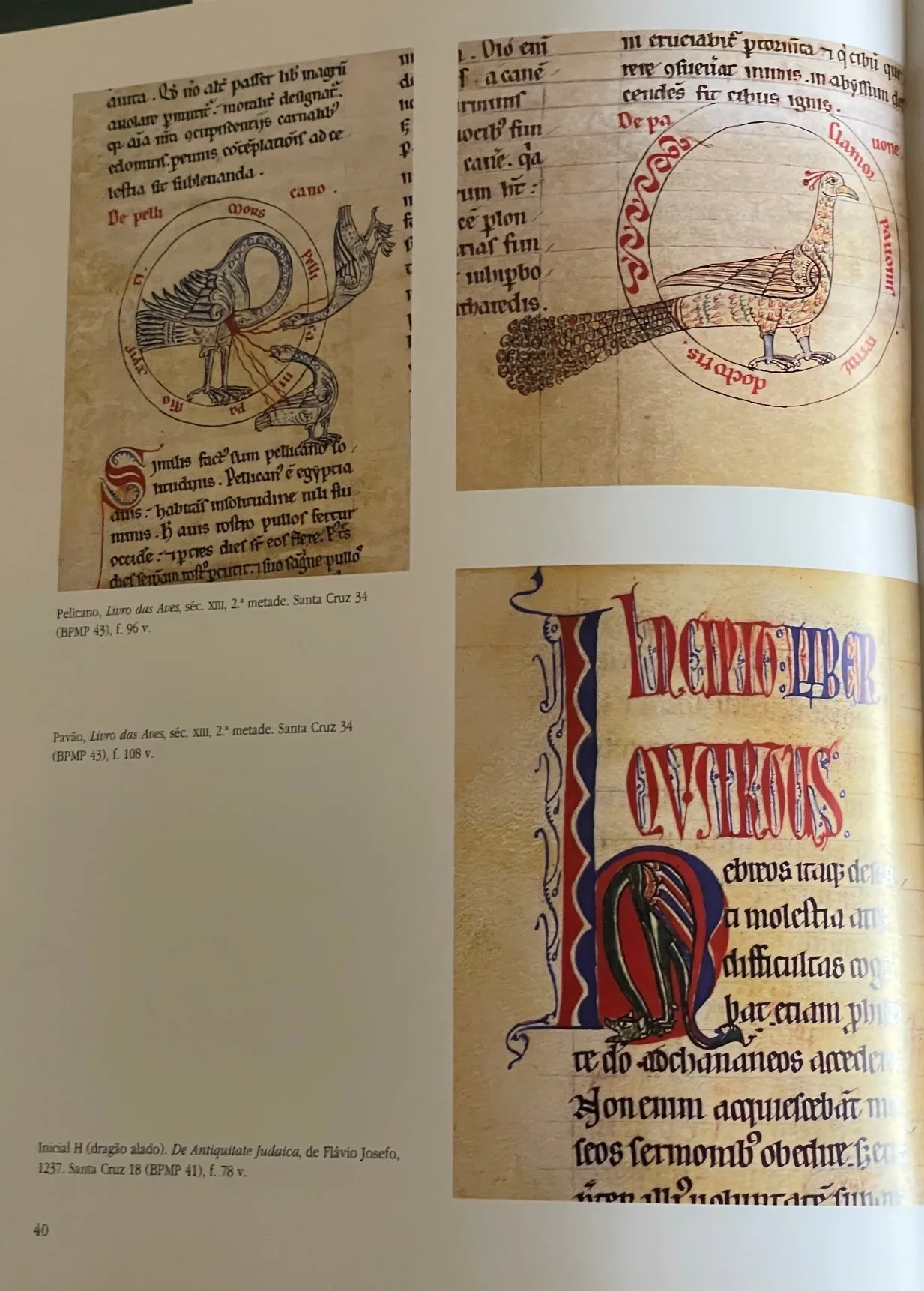 Coimbra4