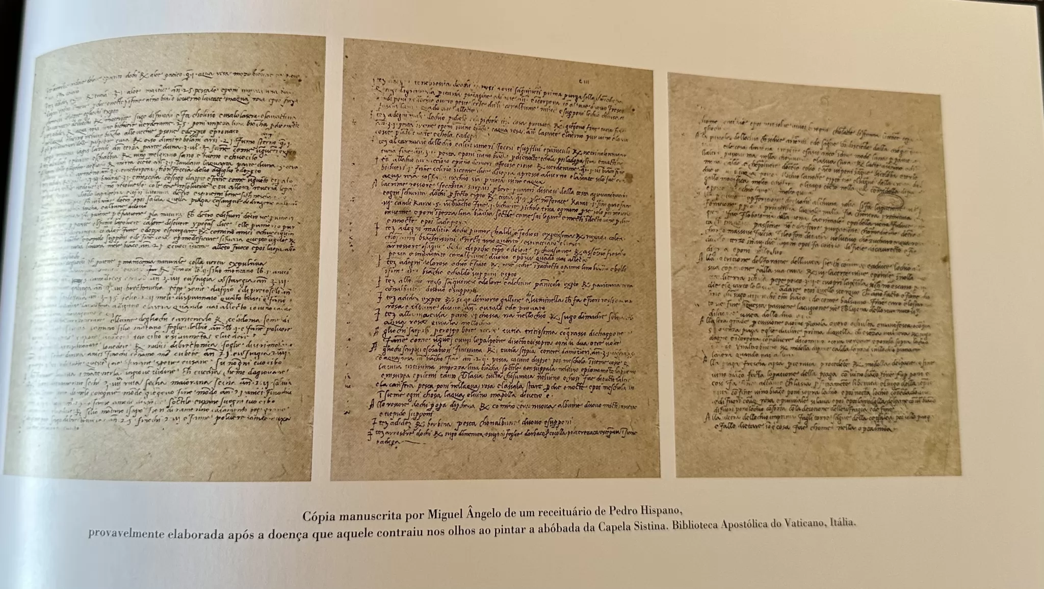 Figura 11 Prescricao manuscrita por Michelangelo Biblioteca Apostolica Vaticano