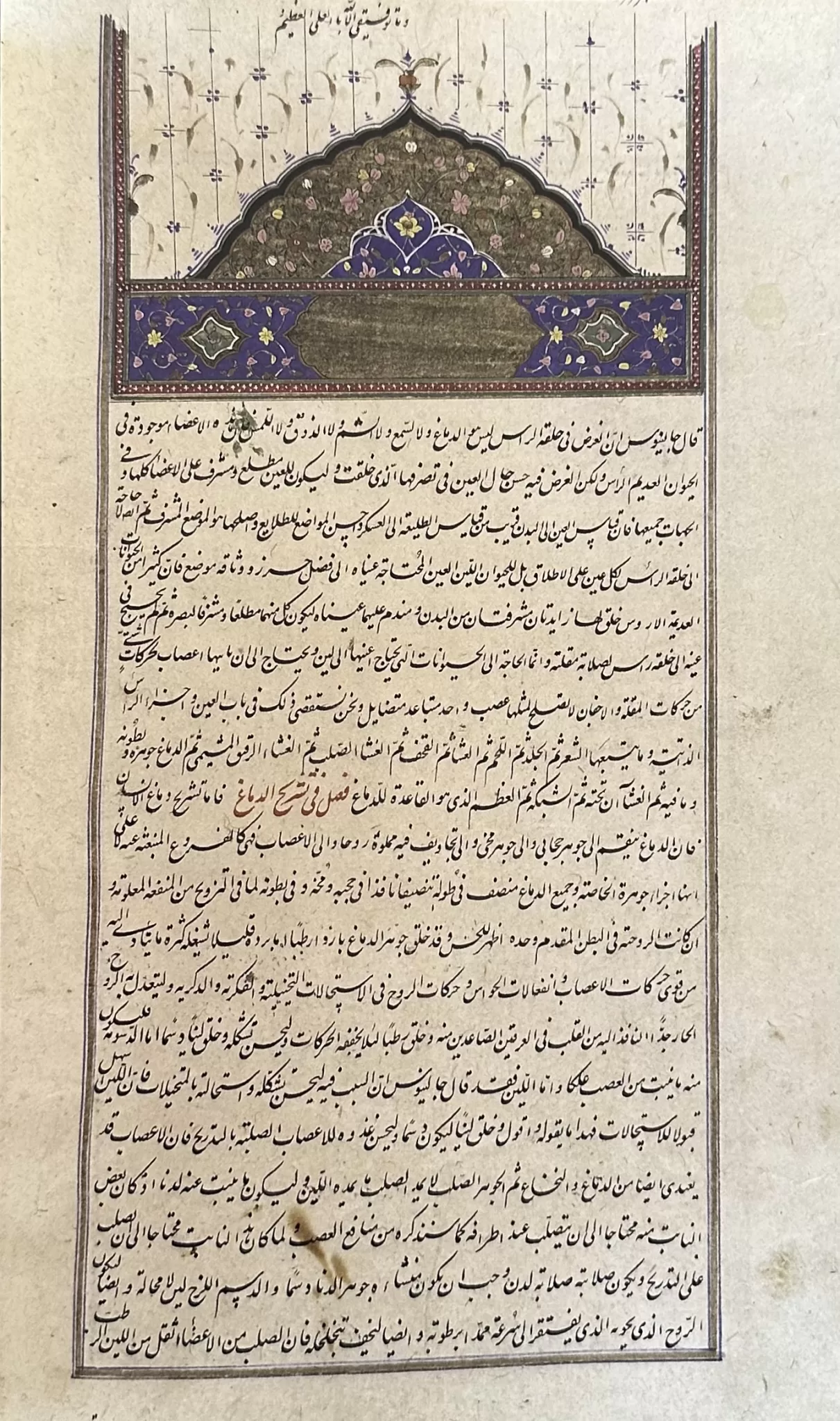 Figura 4 Canon da Medicina de Avicena