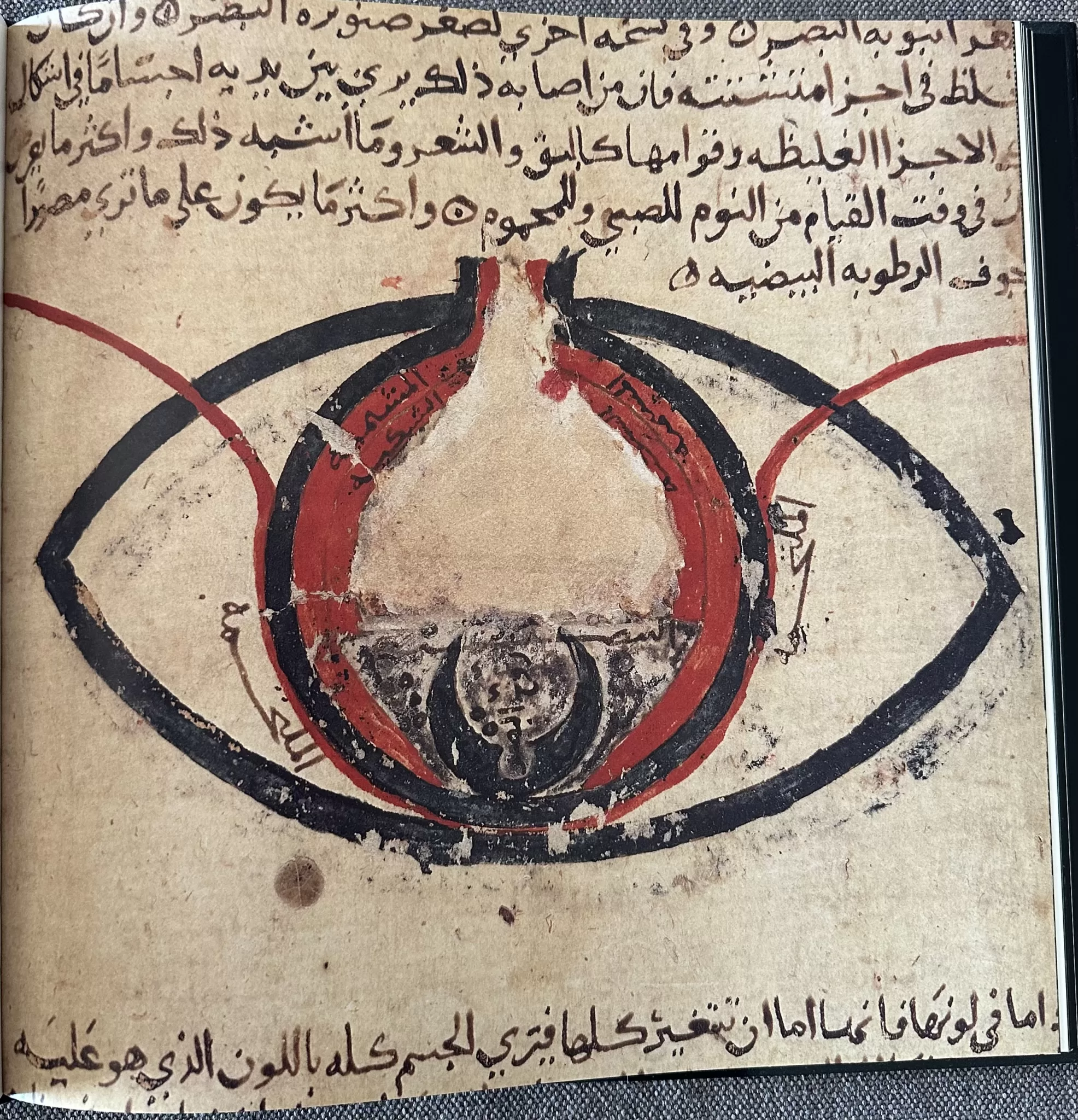 Figura 5 o olho segundo Hunayn ibn Ishaq 