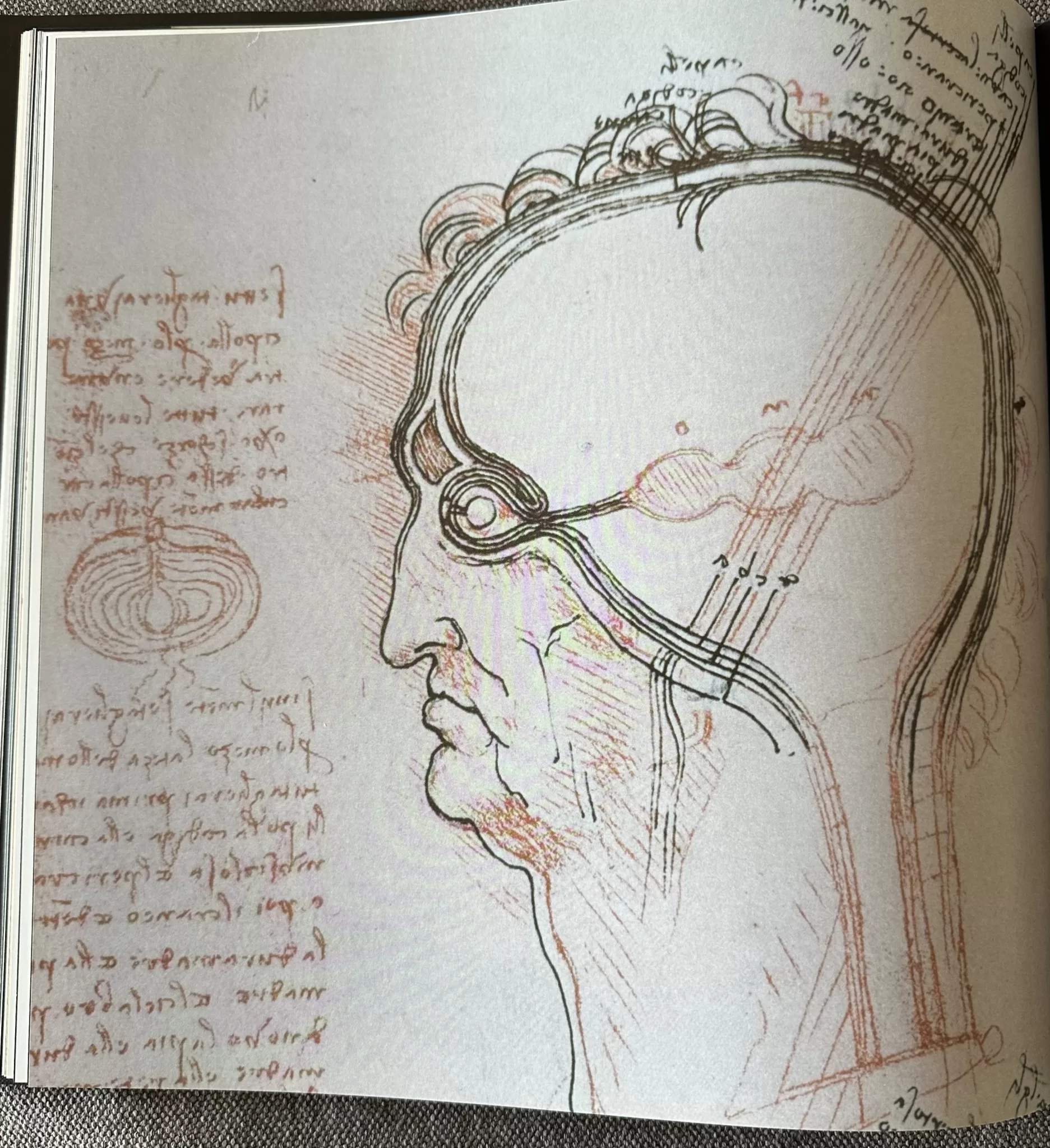 Figura 7 Leonardo da Vinci desenho do olho com lente no interior